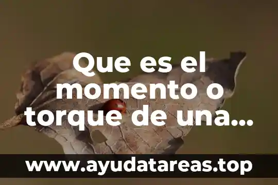 Que es el momento o torque de una fuerza
