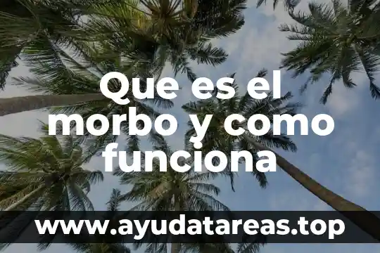 Que es significa reformada en materia de contabilidad 3 Que es el morbo y como funciona