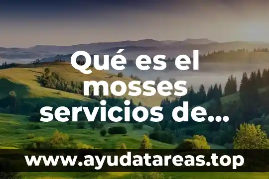 Que es la estrategia de internacionalizacion servicios 4 Qué es el mosses servicios de salud