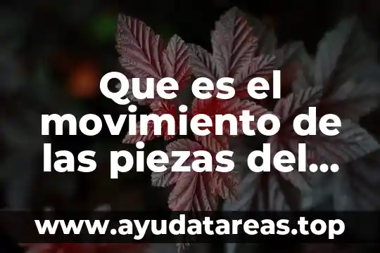Que es el movimiento de las piezas del ajedrez