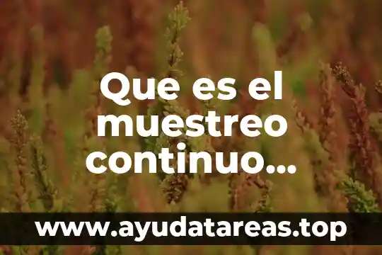 Proceso continuo que es 8 Que es el muestreo continuo intermitente errática quimica