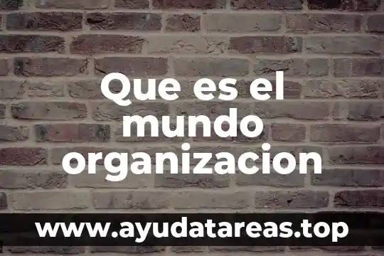 Que es el mundo organizacion