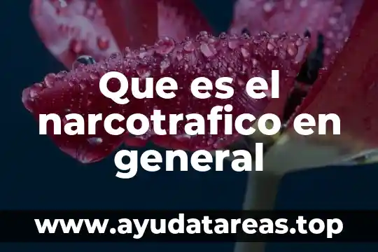 Que es el narcotrafico en general