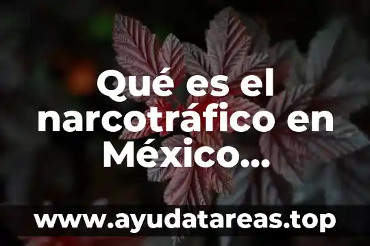 Que es panspermia definicion 8 Qué es el narcotráfico en México definición