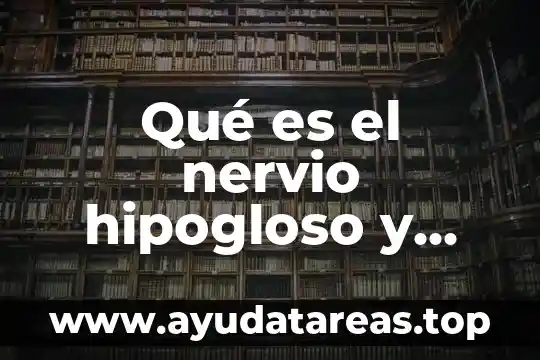 Que es la asido uriko en sangre funcion 3 Qué es el nervio hipogloso y cuál es su función