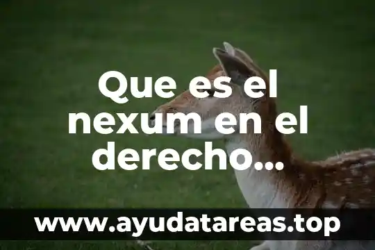 ¿Qué es el dolo en derecho romano? 3 Que es el nexum en el derecho romano