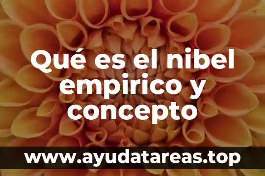 Qué es el nibel empirico y concepto