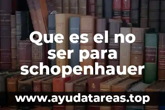 Que es un derecho de un ser humano 4 Que es el no ser para schopenhauer
