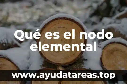 Qué es el nodo elemental