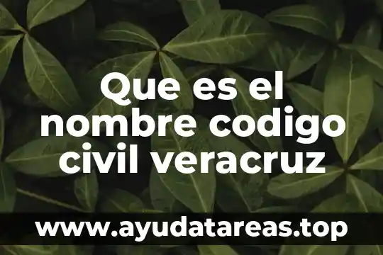 Que es un problema en codigo 3 Que es el nombre codigo civil veracruz