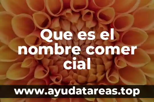 Que es mejor comer carne o verduras 5 Que es el nombre comer cial