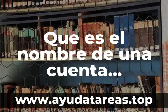 Que es nombre de ejemplar 5 Que es el nombre de una cuenta contable