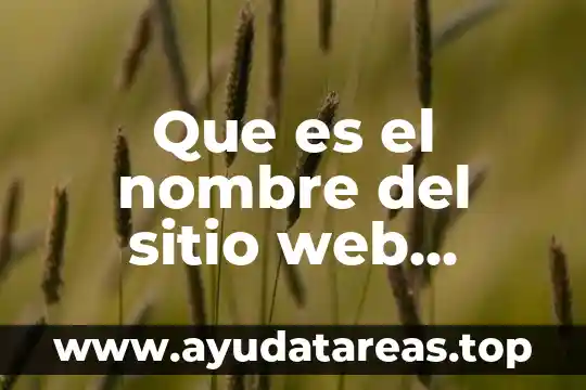 Que es un sitio web de descargas 5 Que es el nombre del sitio web ejemplos
