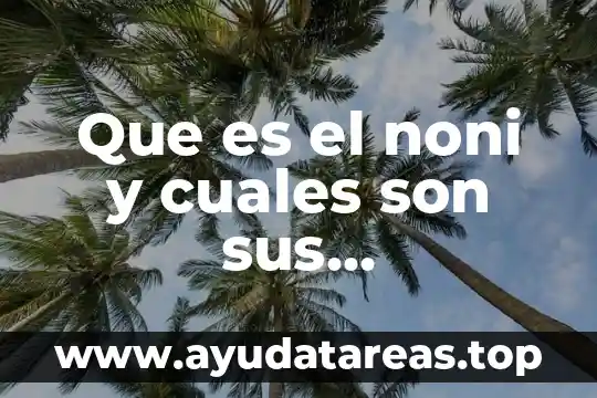 Qué es material didáctico y cuáles son los tipos 5 Que es el noni y cuales son sus propiedades