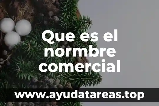 Que es el normbre comercial