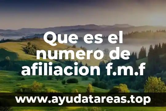 De qué es este número 8141707631 8 Que es el numero de afiliacion f.m.f