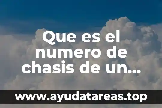 Para que es el número 228 3 Que es el numero de chasis de un auto
