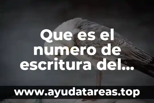 Que es el poder ideologico teoría política 5 Que es el numero de escritura del poder del notario