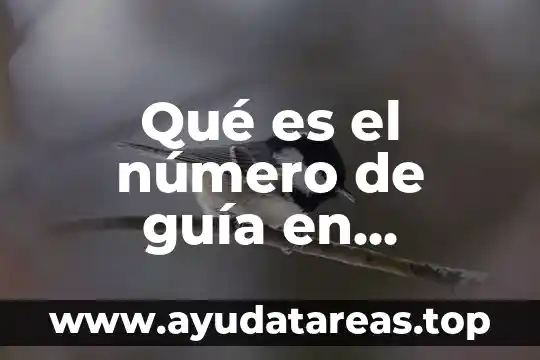Que es segmento del mercado 7 Qué es el número de guía en Mercado Libre