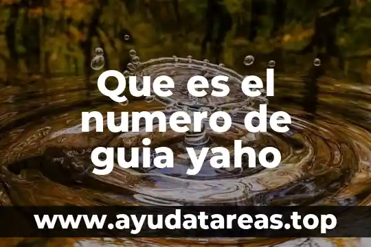 Número de municipio que es puerto vallarta 5 Que es el numero de guia yaho