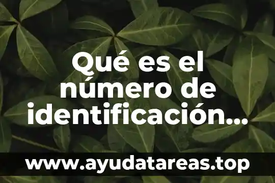 Que es identificación en derecho penal 6 Qué es el número de identificación tributaria