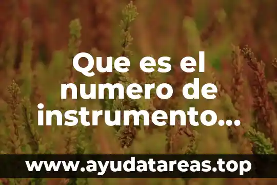 Número de municipio que es puerto vallarta 6 Que es el numero de instrumento notarial