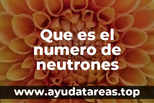 Número de caudal que es 4 Que es el numero de neutrones