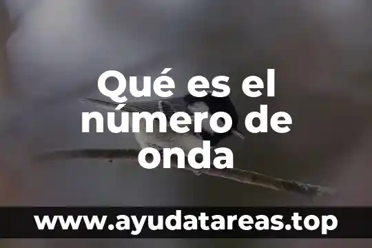 Que es el.medio de propagacion de una onda 8 Qué es el número de onda