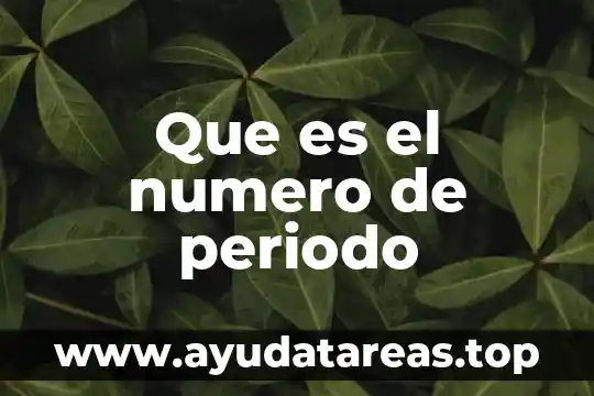 Que es el numero de periodo
