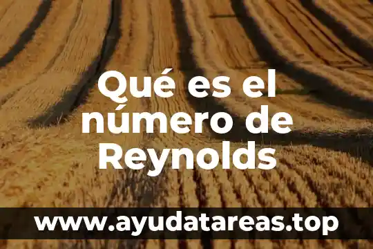 Explicación de qué es el número para niños 5 Qué es el número de Reynolds