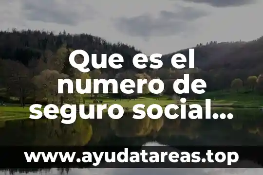 Que es el numero de seguro social en mexico