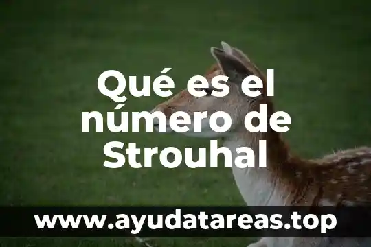 Que es el numero mach en aviacion 5 Qué es el número de Strouhal