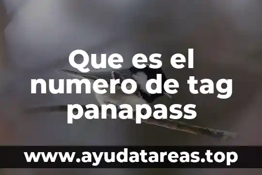 Número de procesadores que es mejor 3 Que es el numero de tag panapass