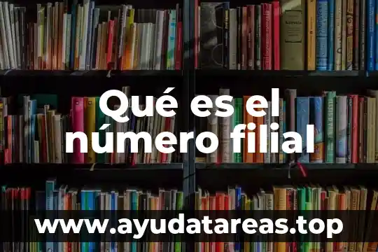 Para que es el número 228 5 Qué es el número filial