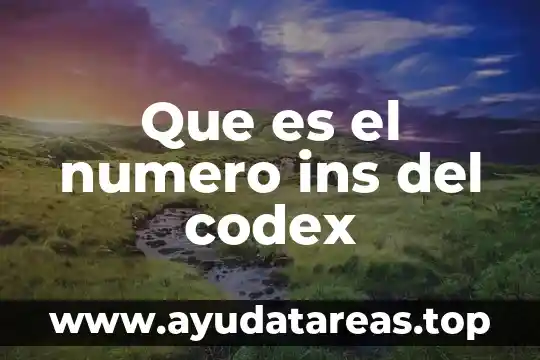 Número de caudal que es 6 Que es el numero ins del codex