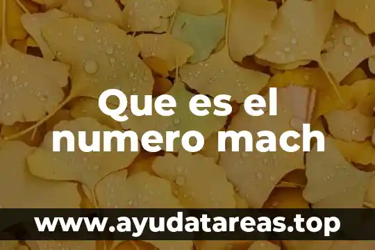 Qué es el número de Strouhal 6 Que es el numero mach