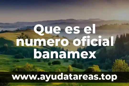 De qué es este número 8141707631 7 Que es el numero oficial banamex