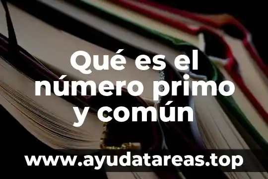 Qué es un apodo común 4 Qué es el número primo y común