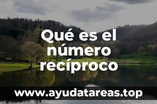 8Chan que es 3 Qué es el número recíproco