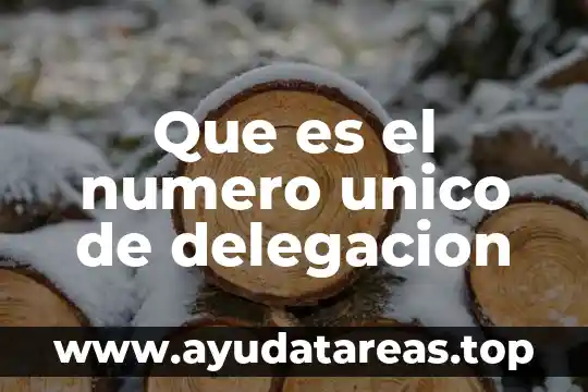 Qué es número de procedimiento siroc 4 Que es el numero unico de delegacion
