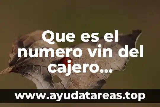 Qué es número de procedimiento siroc 5 Que es el numero vin del cajero automatico