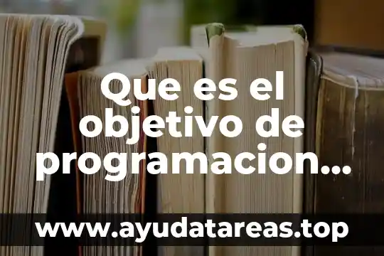 Que es el objetivo de programacion de computadoras