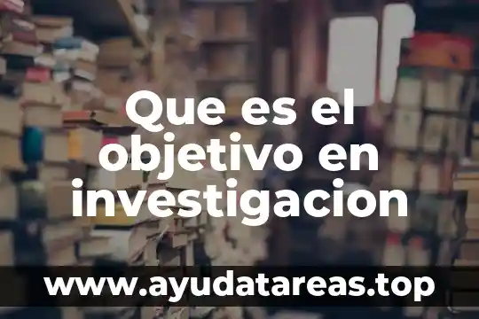 Que es el objetivo en investigacion