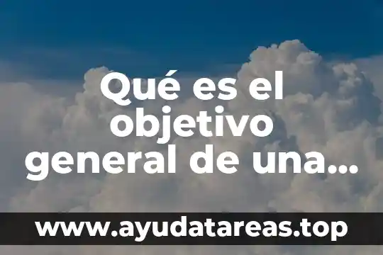 Qué es el objetivo general de una empresa según Chiavenato