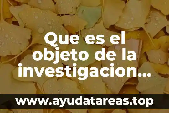 Para que es importante la interpresentación en una investigacion 4 Que es el objeto de la investigacion en una monografia