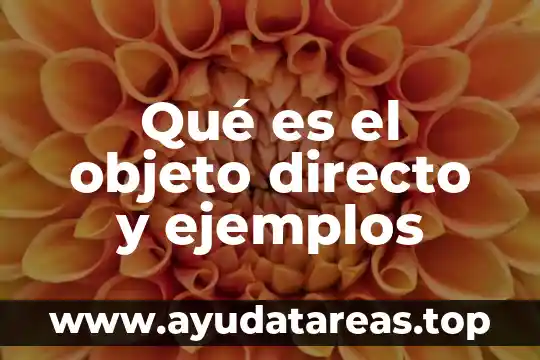Que es el uso directo del agua 5 Qué es el objeto directo y ejemplos
