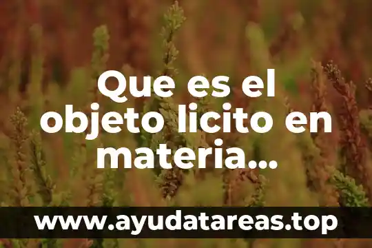 Que es un objeto fetiche 5 Que es el objeto licito en materia contractual