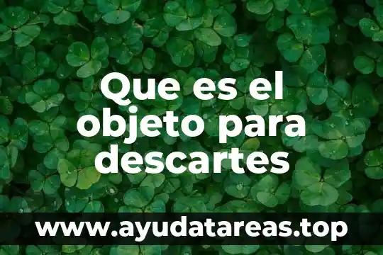 Que es el objeto para descartes