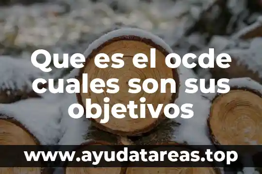 Que es el ocde cuales son sus objetivos