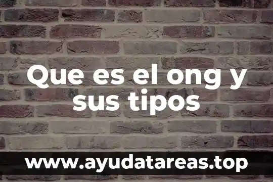 Que es el ong y sus tipos